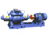 SZ系列水環式真空泵